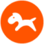 Logo PONY GROUP INC. DL -,001