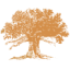 Logo LANDMARK LAND CO. DL-,50