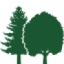 Logo WOODL.FIN.SER. CO. DL5