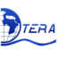 Logo TeraForce Technology