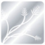 Logo SILVER FIELDS RESOURCES