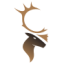 Logo Tuktu Resources
