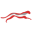 Logo Cheetah Net
