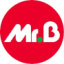Logo Mr. Bricolage