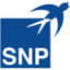 Logo SNP Schneider-Neureither & Partner