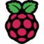 Logo Raspberry Pi
