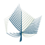 Logo WeGrow