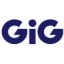 Logo GIG SOFTWARE SDR