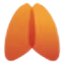 Logo ORGANA TE