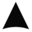 Logo SES