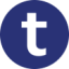 Logo Temenos Group