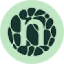 Logo Novonesis B