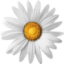 Logo Implenia