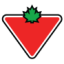 Logo Canadian Tire