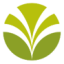 Logo Olam Group