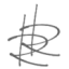 Logo RAFFLES FINL GRP O.N.