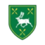 Logo HENY CAPIUT