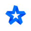 Logo Blue Star Capital