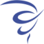 Logo Sensorion