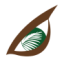 Logo Eagle High Plantations