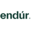 Logo Endur