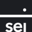 Logo SEI Investment