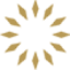 Logo SOL Global Investments