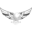 Logo VALIANT EAGLE DL-,0001