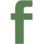 Logo Fabrinet