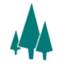 Logo Pine Technology