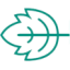 Logo Peppermint Innovation