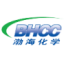 Logo TIAN JIN BOHAI CHEM.A YC1