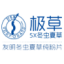 Logo QINGHAI SUN.MNG CO.A YC 1