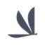 Logo PROOF ACQ.I CL.A DL-,0001