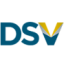 Logo Discovery Silver
