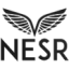 Logo NATIONAL ENERGY SVCS