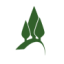 Logo Pinetree Capital