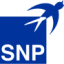 Logo SNP Schneider-Neureither & Partner