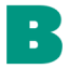 Logo Badger Infrastructure Solutions