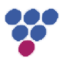 Logo ABBISKO CAYMAN DL-,00001
