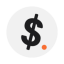 Logo Falcon USD/US Dollar