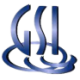 Logo GSI Technology