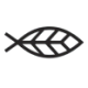 Logo Icelandic Salmon