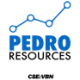 Logo PEDRO RES LTD