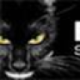 Logo BLACK CAT SYNDICATE LTD