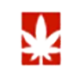 Logo Cannabis Suisse