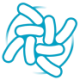 Logo PROBIOTIX HEALTH LS-,05