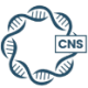 Logo KLOTHO NEUROSCIENCES INC.