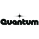Logo Quantum Critical Metals