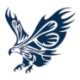 Logo Bold Eagle Acquisition